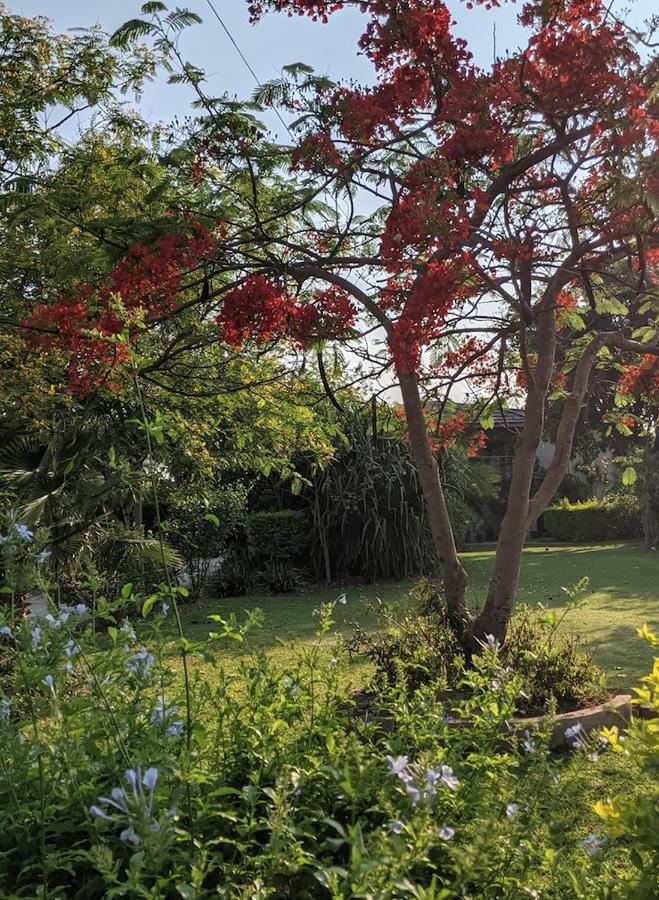The Residence Villa Chobe Kasane Zewnętrze zdjęcie